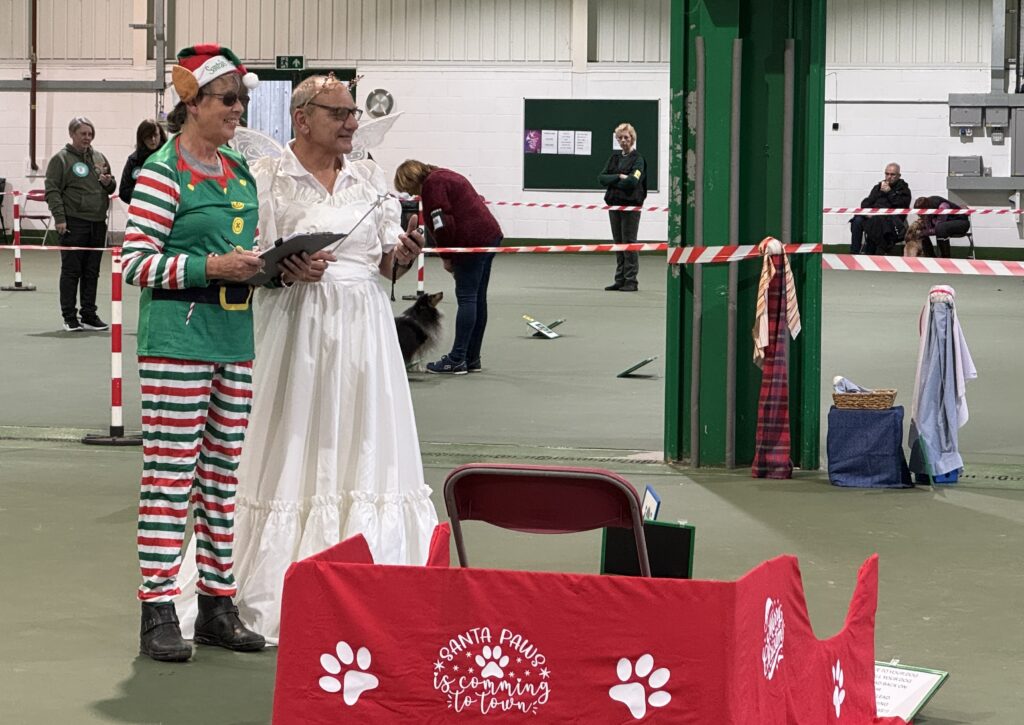 Special Festive Fun Class Judge and Scribe