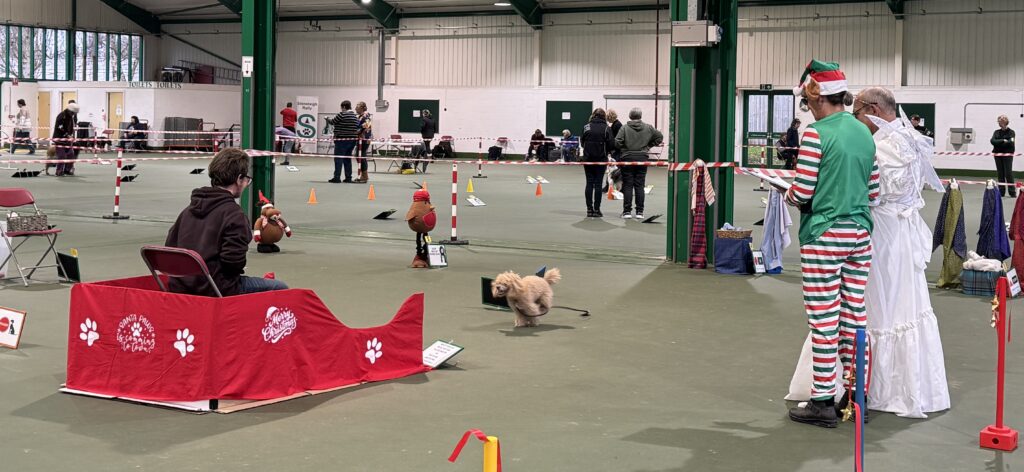 Special Festive Fun Class Bonus