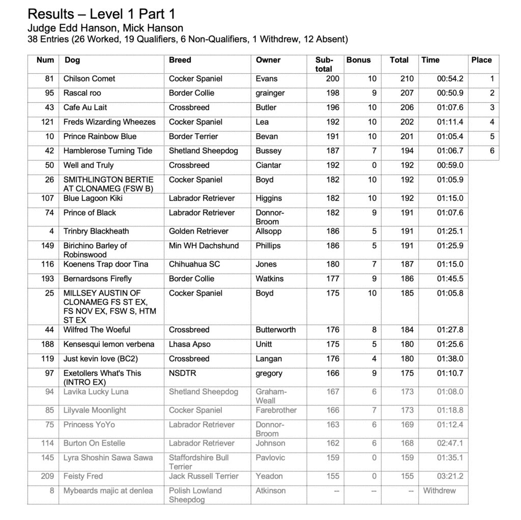 Level 1 Part 1 results