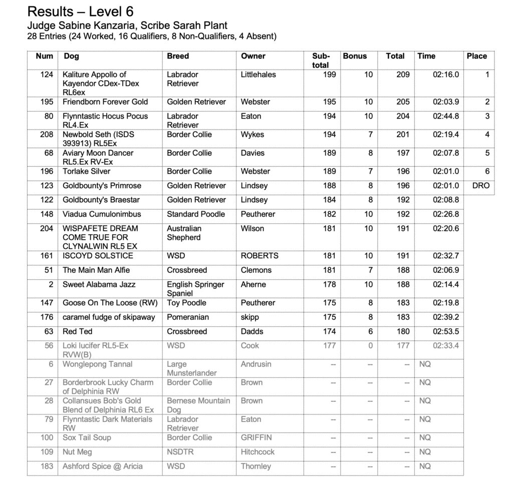 Level 6 results