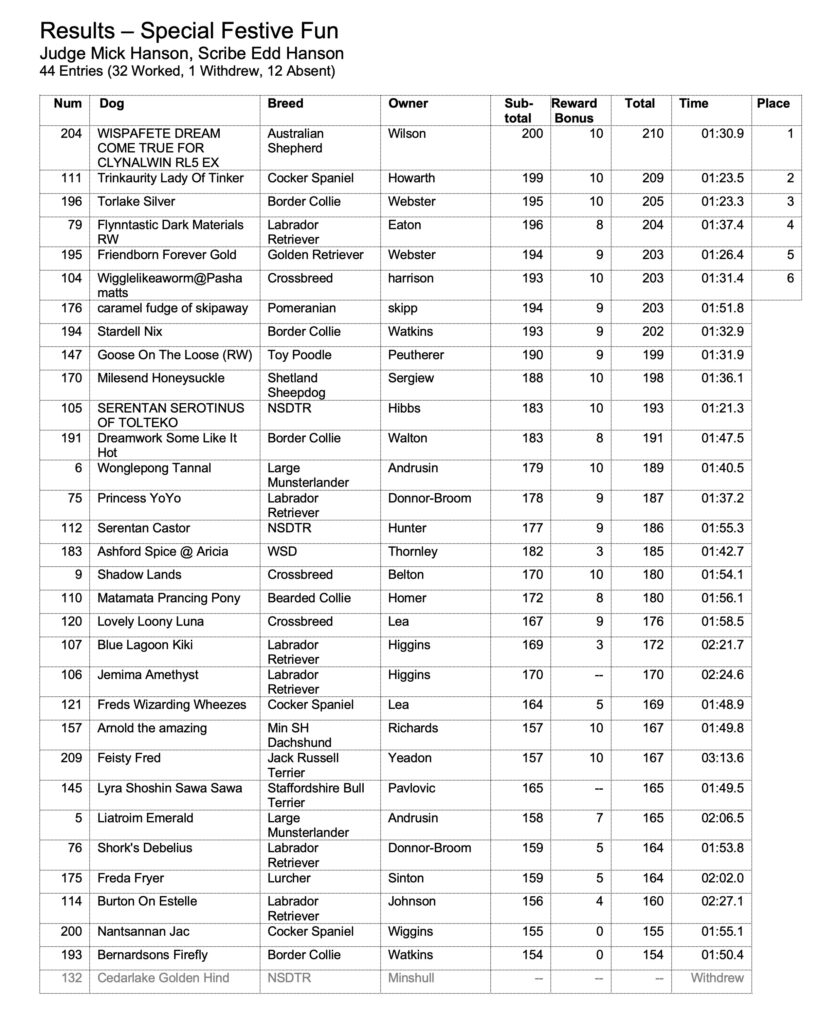 Special Festive Fun results